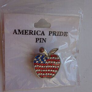 Beautiful America Pride Pin Apple Shaped New